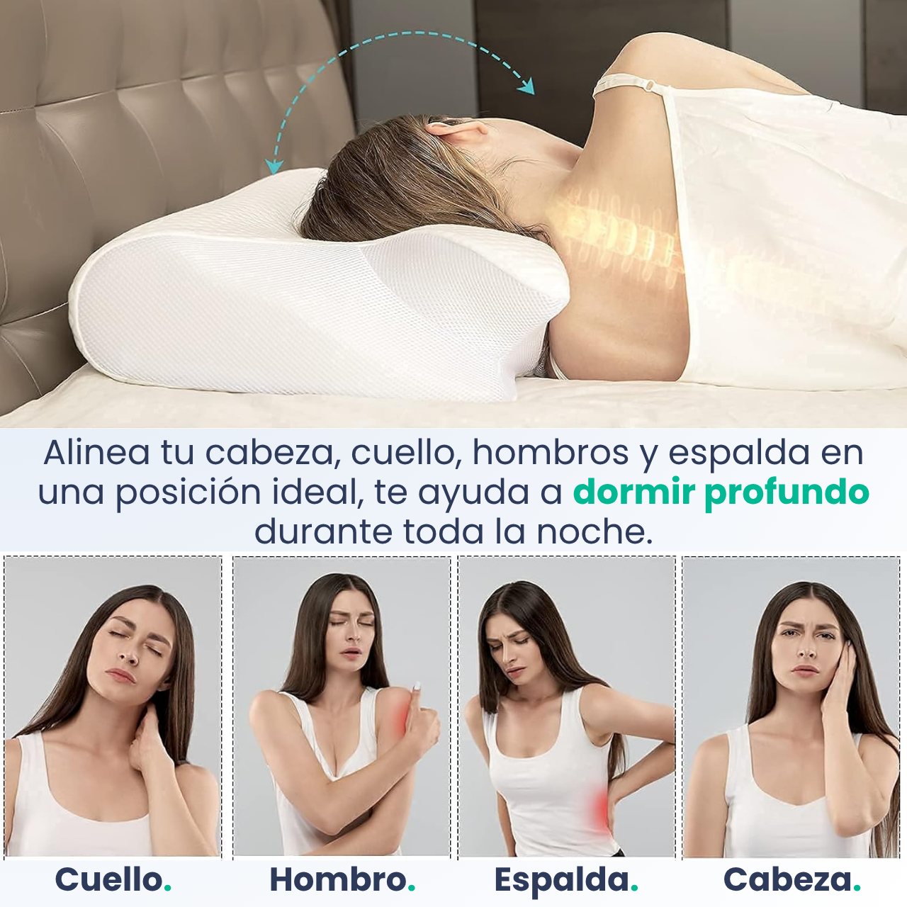 Almohada Cervical ErgoRelax ®