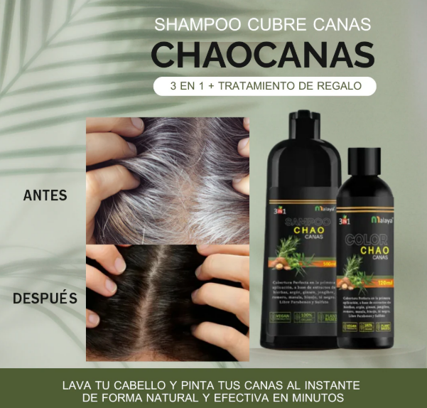 Shampoo Chao Canas 3 en 1 + Tratamiento GRATIS